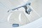 Biodevice ECO 8