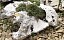Глыбы Туф, 1500-3000 мм